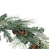 Northlight 6' x 9" Mixed Pine and Pine Cones Artificial Christmas Garland  Unlit Image 1