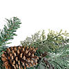 Northlight 6' x 9" Mixed Pine and Pine Cones Artificial Christmas Garland  Unlit Image 2