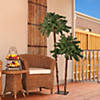 Northlight 6ft Lighted Artificial Tropical Palm Tree Duo Clear Lights Image 1
