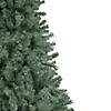 Northlight 7.5' Colorado Blue Spruce Artificial Christmas Tree  Unlit Image 2