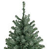 Northlight 7.5' Colorado Blue Spruce Artificial Christmas Tree  Unlit Image 3