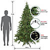 Northlight 7.5' Pre-Lit Birch River Fir Artificial Christmas Tree  Candlelight Clear Lights Image 2