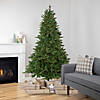 Northlight 7.5' Pre-Lit Full Riverton Fir Artificial Christmas Tree  Warm White Lights Image 1