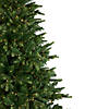 Northlight 7.5' Pre-Lit Full Riverton Fir Artificial Christmas Tree  Warm White Lights Image 3