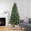 Northlight 7.5' Pre-Lit Granville Fraser Fir Slim Artificial Christmas Tree  Clear Lights Image 1