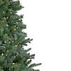 Northlight 7.5' Pre-Lit Granville Fraser Fir Slim Artificial Christmas Tree  Clear Lights Image 3