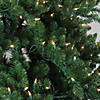 Northlight 7.5' Pre-Lit Medium Eden Spruce Artificial Christmas Tree - Clear Lights Image 1