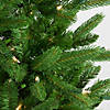 Northlight 7.5' Pre-Lit Pencil Northwood Noble Fir Artificial Christmas Tree - Clear Lights Image 1