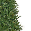 Northlight 7.5' Pre-Lit Rockwood Pine Artificial Christmas Tree  Clear LED Lights Image 2