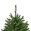 Northlight 7.5' Pre-Lit Rockwood Pine Artificial Christmas Tree  Clear LED Lights Image 3