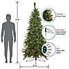 Northlight 7.5' Pre-Lit Slim Canyon Pine Half Wall Artificial Christmas Tree - Clear Lights Image 2