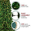 Northlight 7.5' Pre-Lit Slim Olympia Pine Artificial Christmas Tree - Warm White Lights Image 4