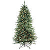 Northlight 7.5' Pre-Lit Washington Frasier Artificial Christmas Tree - Clear Dura-Lit Lights Image 1