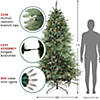 Northlight 7.5' Pre-Lit Washington Frasier Artificial Christmas Tree - Clear Dura-Lit Lights Image 2