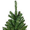 Northlight 7.5' Unlit Pencil White River Fir Artificial Christmas Tree Image 2
