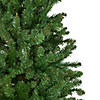 Northlight 7.5' Unlit Pencil White River Fir Artificial Christmas Tree Image 3
