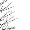 Northlight 7' Matte Black Tree Warm White LED Copper Wire Lights Image 1
