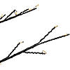 Northlight 7' Matte Black Tree Warm White LED Copper Wire Lights Image 2