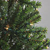 Northlight 7' Pre-Lit Medium Balsam Pine Artificial Christmas Tree - Clear Lights Image 1