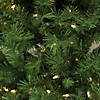 Northlight 7' Pre-Lit Slim Glacier Pine Artificial Christmas Tree - Multicolor LED Lights Image 2