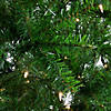 Northlight 7' Pre-Lit Vail Spruce Medium Artificial Christmas Tree - Clear Lights Image 1
