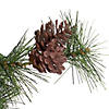 Northlight 72" Pre-Lit Country Mixed Pine Artificial Christmas Swag - Clear Lights Image 1