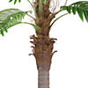 Northlight 8' Artificial Potted PhoeniProper Palm Tree Image 4