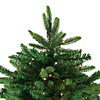 Northlight 9' Pre-Lit Gunnison Pine Artificial Christmas Tree - Clear Lights Image 2