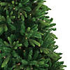 Northlight 9' Pre-Lit Gunnison Pine Artificial Christmas Tree - Clear Lights Image 3