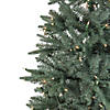 Northlight 9' Pre-Lit Slim Washington Frasier Fir Artificial Christmas Tree - Clear Lights Image 2