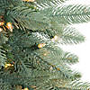 Northlight 9' x 12" Pre-Lit Washington Frasier Fir Artificial Christmas Garland - Clear Dura-Lit Lights Image 2