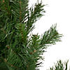 Northlight 9' x 14" Black River Pine with Pine Cones Artificial Christmas Garland  Unlit Image 2