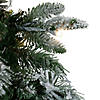 Northlight 9' x 14" Pre-Lit Flocked Mixed Rosemary Emerald Pine Artificial Christmas Garland - Clear LED Lights Image 1