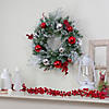 Northlight Flocked Mixed Pine with Ornaments and Berries Artificial Christmas Wreath  24-Inch  Unlit Image 1