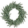 Northlight Frasier Fir Artificial Christmas Wreath - 24-Inch  Unlit Image 1