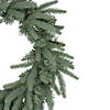 Northlight Frasier Fir Artificial Christmas Wreath - 24-Inch  Unlit Image 1