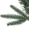 Northlight Frasier Fir Artificial Christmas Wreath - 24-Inch  Unlit Image 2