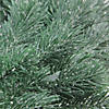 Northlight Green Frosted Pine Artificial Christmas Wreath - 16-Inch  Unlit Image 2