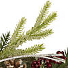 Northlight Icy Winter Foliage and Plaid Bow Artificial Christmas Twig Wreath  23 inch  Unlit Image 4