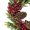 Northlight Pine Cone and Berry Artificial Christmas Wreath  22-Inch  Unlit Image 2