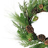 Northlight Pine Cones and Needles Artificial Christmas Wreath - 24-Inch  Unlit Image 2