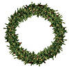 Northlight Pre-Lit Dakota Pine Artificial Christmas Wreath - 72-Inch  Warm White LED Lights Image 1
