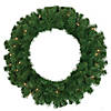 Northlight Pre-Lit Dorchester Pine Artificial Christmas Wreath  24-Inch  Clear Lights Image 1