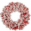 Northlight Pre-Lit Flocked Red Artificial Christmas Wreath  24-Inch  Clear Lights Image 1