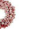 Northlight Pre-Lit Flocked Red Artificial Christmas Wreath  24-Inch  Clear Lights Image 3