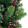 Northlight Pre-lit Noble Fir with Red Berries and Pine Cones Artificial Christmas Wreath - 24" - Clear Lights Image 3