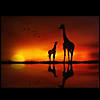 Northlight Safari Sunset LED Back Lit Giraffe and Baby Canvas Wall Art 11.75" Proper 15.75" Image 1
