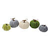 Northlight Set of 10 Pumpkins  Berries  Flowers and Leaves Thanksgiving Decor Set Image 2
