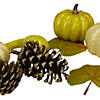 Northlight Set of 12 Crackled and Glittered Fall Pumpkin  Gourd  Berry  Pine Cone Decoration Set Image 1