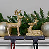 Northlight Set of 2 Gold Reindeer Glittered Christmas Stocking Holders 8.5" Image 1
